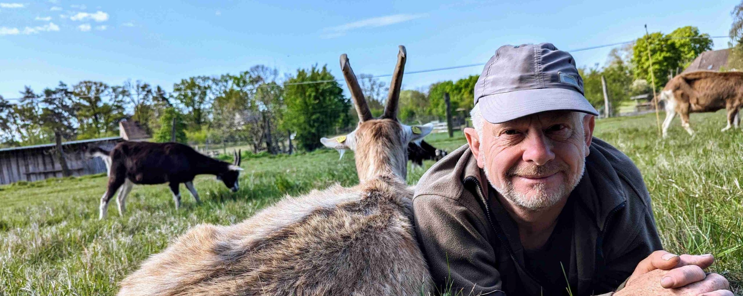 www.ziegenfarm-neuplaue.de